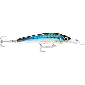 Rapala X-Rap Magnum Xtreme 6-1/4" HD Blue Sardine [XRMAGXT160HDBSRD] - BuoyMart.com  Hard & Soft Baits Rapala