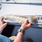 SeaDek 48 Routed Ruler - 6mm - Brushed Texture - Aqua Camo/Black [53584-80336] - BuoyMart.com  Deck / Galley SeaDek