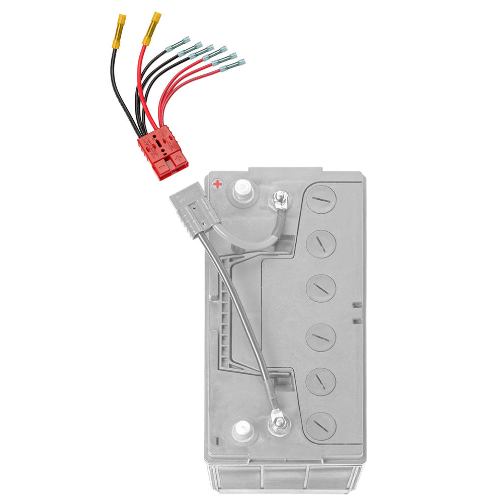Connect-Ease Multi 4 Lead Accessory f/Main Battery [RCE12VB4] - BuoyMart.com  Accessories Connect-Ease
