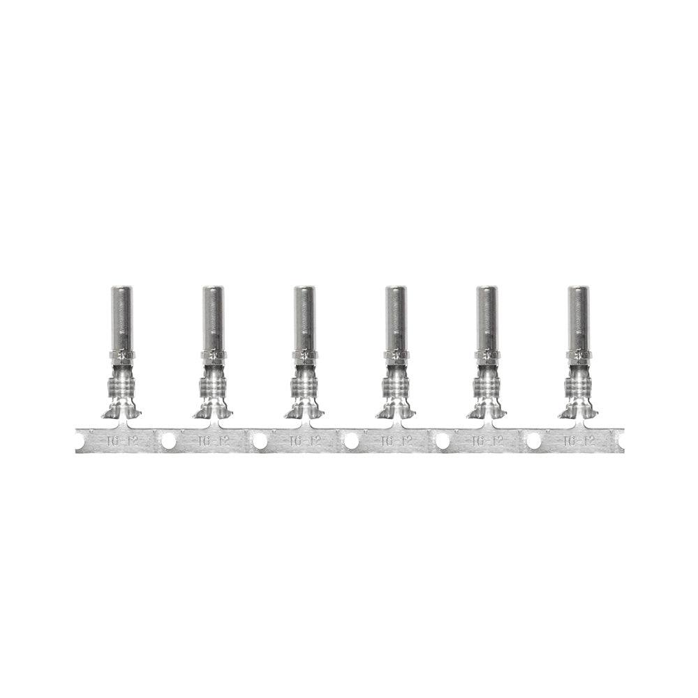 Pacer DTP Deutsch Socket f/10 AWG Wire - Size 12 Contact (25 Pack) [T10DTP-S-25] - BuoyMart.com  Terminals Pacer Group