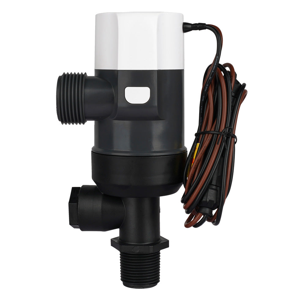 Commodore 1100 GPH Vertical Livewell Pump - Short - 12V [CM-D31-1100L] - BuoyMart.com  Livewell Pumps Commodore