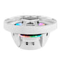 DS18 8" 2-Way Coaxial Marine Speakers w/Digital LED Lights  Bullet Tweeter - White - 175W, 4-Ohm [NXL-IQ8/WH] DS18