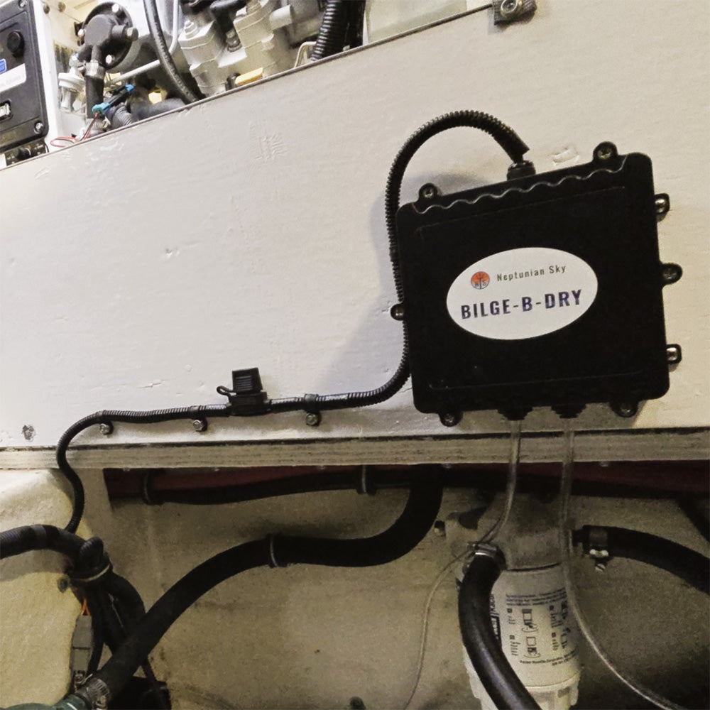 BILGE-B-DRY Dual Pump 12VDC [BBD-2025-122] - BuoyMart.com  Bilge Pumps BILGE-B-DRY
