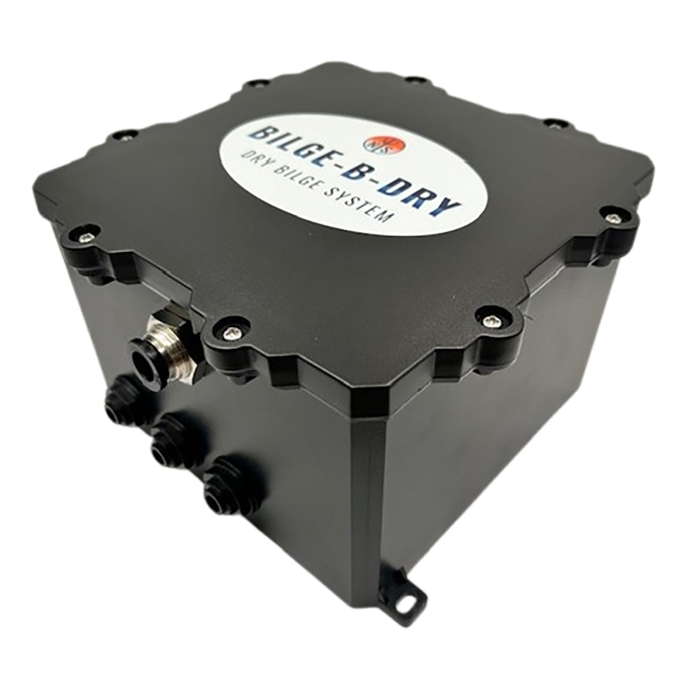 BILGE-B-DRY Triple Pump 12VDC [BBD-2025-123] - BuoyMart.com  Bilge Pumps BILGE-B-DRY