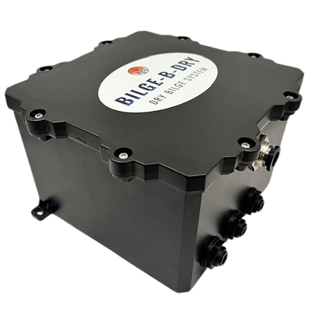 BILGE-B-DRY Triple Pump 12VDC [BBD-2025-123] - BuoyMart.com  Bilge Pumps BILGE-B-DRY