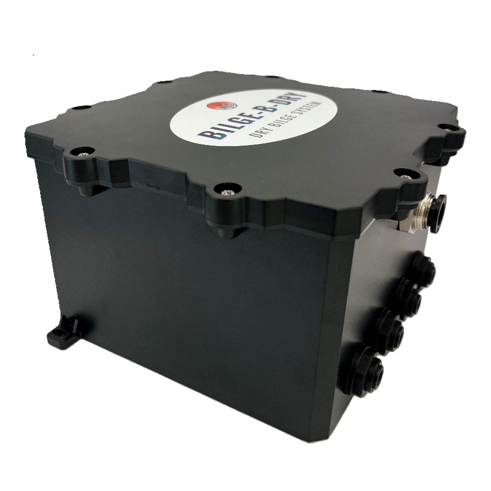 BILGE-B-DRY Quad Pump 12VDC [BBD-2025-124] - BuoyMart.com  Bilge Pumps BILGE-B-DRY