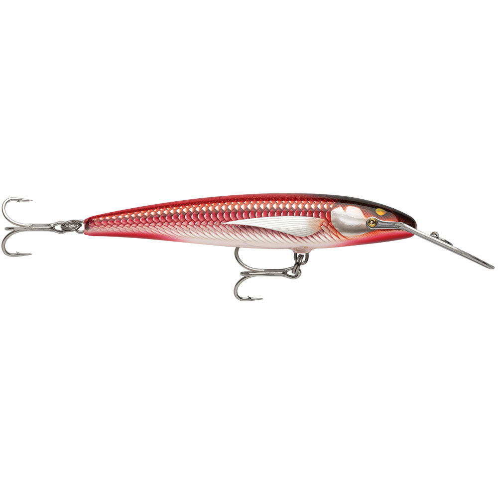 Rapala CountDown Magnum Elite 145 - 5-3/4" - Armored Real Red Bait [CDMAGE145AMRRB] Rapala
