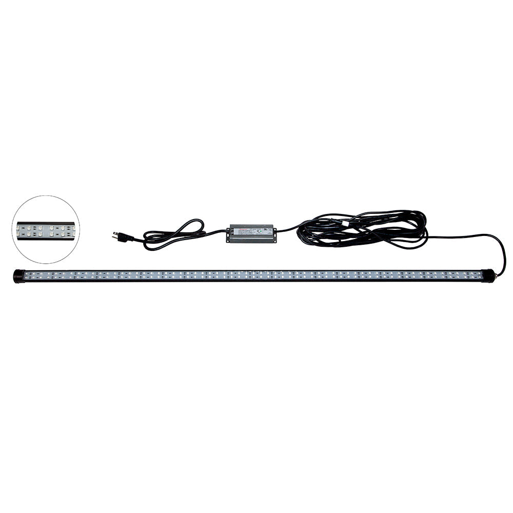 Hydro Glow 4' LED DockMaster 2000K Amber LED 120V [DM260A] Hydro Glow
