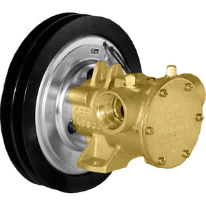 Jabsco 1" Electro-Magnetic Clutch Pump - 12V [11860-0005] - BuoyMart.com  Washdown / Pressure Pumps Jabsco