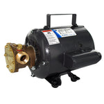 Jabsco Bronze AC Motor Pump Unit - 115v [11810-0003] - BuoyMart.com  Washdown / Pressure Pumps Jabsco