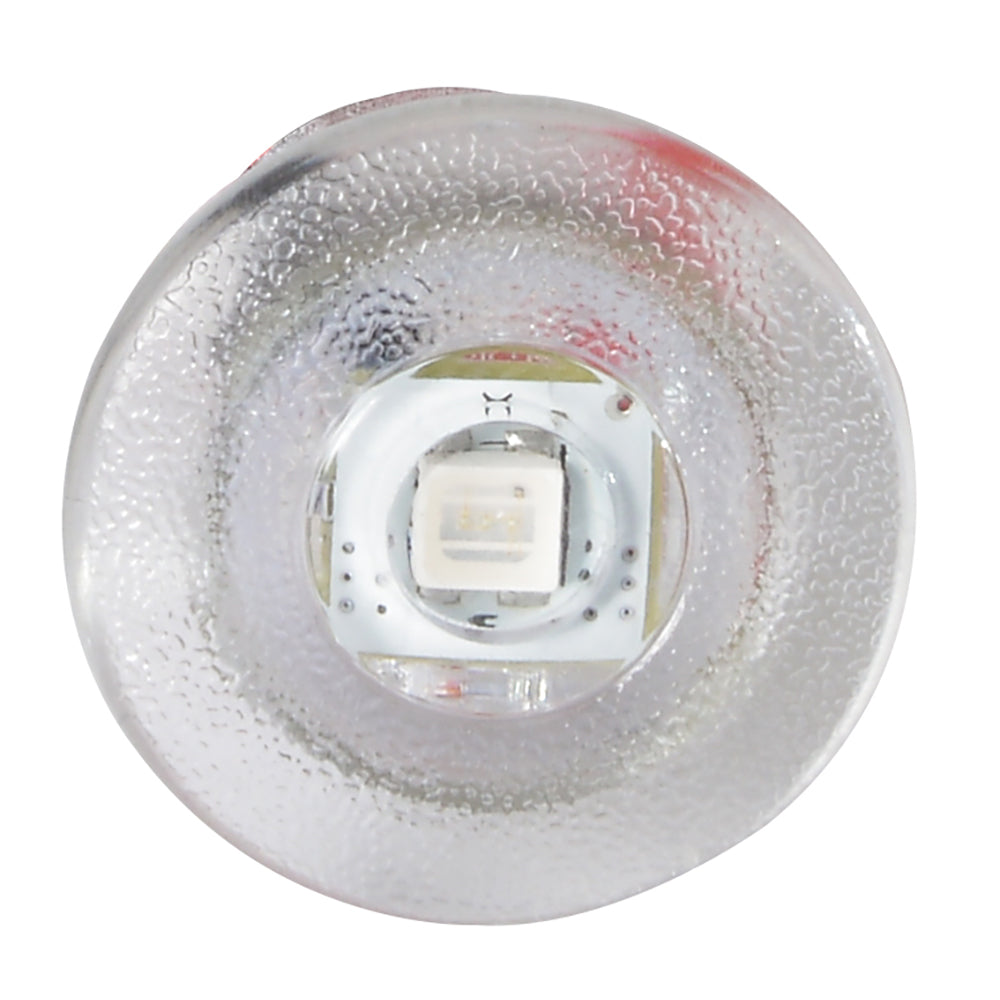 Lumitec Newt - Livewell & Courtesy Light - Red Dimming [101086] - BuoyMart.com  Interior / Courtesy Light Lumitec