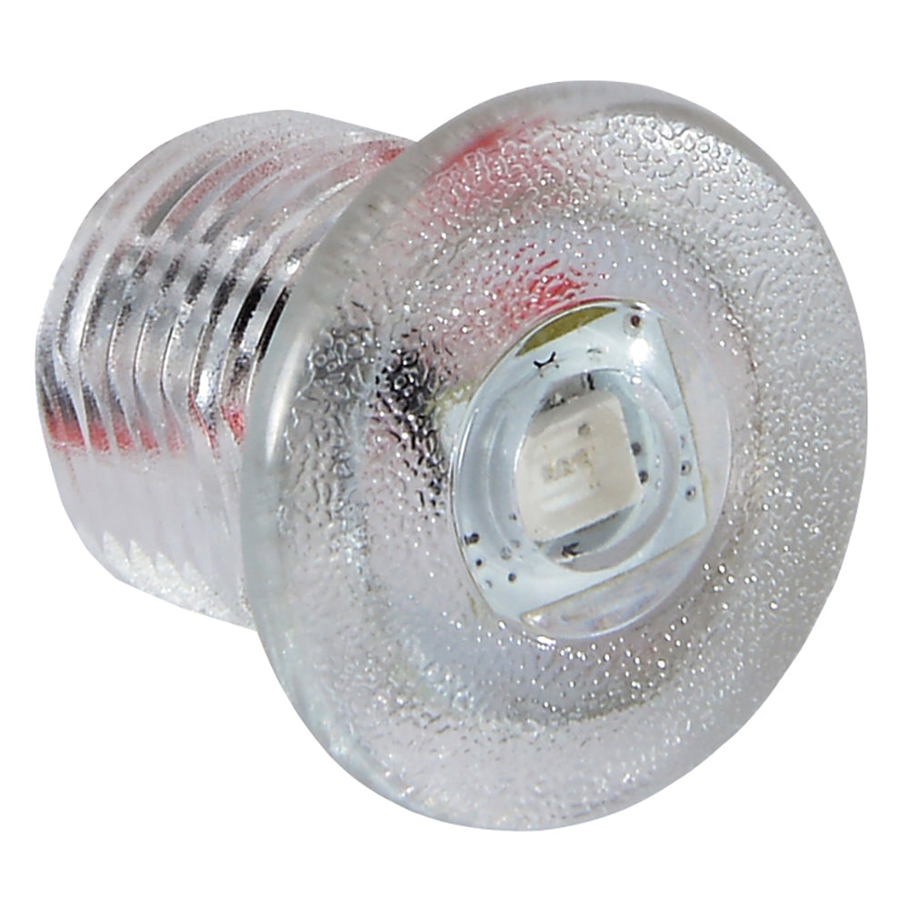 Lumitec Newt - Livewell  Courtesy Light - Warm White Non-Dimming [101240] - BuoyMart.com  Interior / Courtesy Light Lumitec