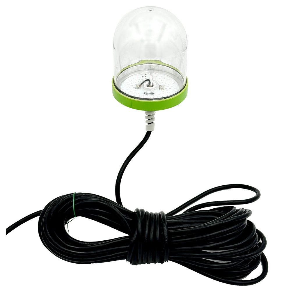 Hydro Glow SF100G 100W/120VVAC Underwater Dock Light - Green Anchored To Bottom [SF100G] - BuoyMart.com  Underwater Lighting Hydro Glow