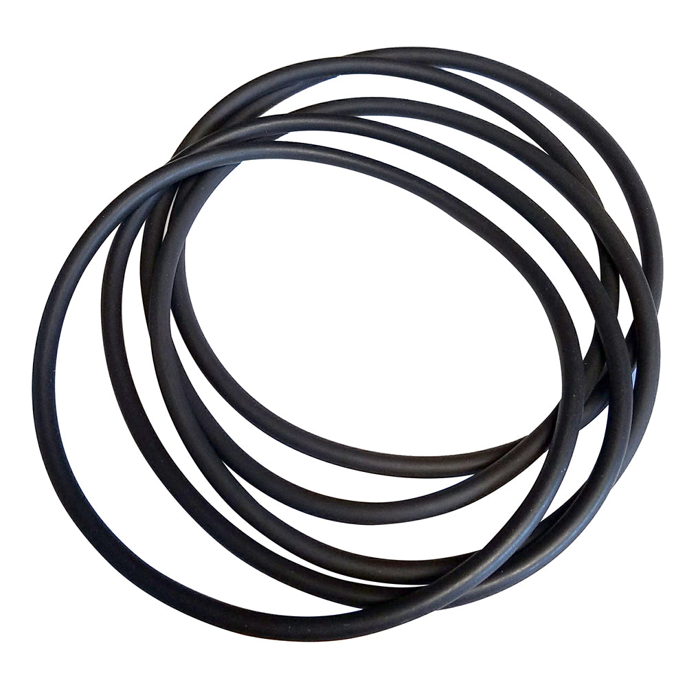 VETUS O-Ring Set f/Waterfilter 1320 - 5-Pack [FTR13202] - BuoyMart.com  Accessories VETUS