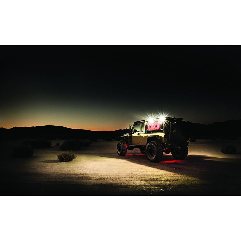 RIGID Industries 1" x 2" 65 - DC Scene Light - Black [86610] - BuoyMart.com  Flood/Spreader Lights RIGID Industries