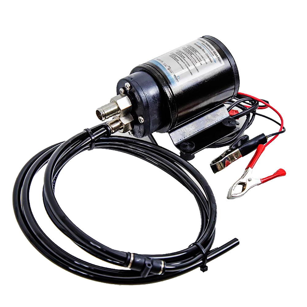 Albin Group Marine Gear Pump Oil Change Kit - 12V [04-03-009] - BuoyMart.com  Transfer Pumps Albin Group