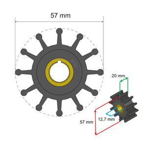 Albin Group Premium Impeller Kit 57 x 12.7 x 20mm - 12 Blade - Key Insert [06-01-013] - BuoyMart.com  Impellers Albin Group