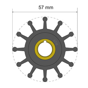 Albin Group Premium Impeller Kit 57 x 12.7 x 20mm - 12 Blade - Key Insert [06-01-013] - BuoyMart.com  Impellers Albin Group