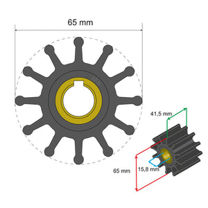 Albin Group Premium Impeller Kit 65 x 15.8 x 41.5mm - 12 Blade - Key Insert [06-01-018] - BuoyMart.com  Impellers Albin Group