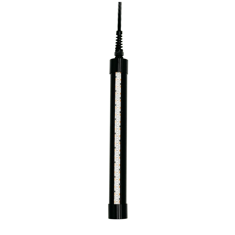 Hydro Glow HG250 21W - 12V - 1.75 Amps - LED Fishing Light - Green [HG250] - BuoyMart.com  Underwater Lighting Hydro Glow