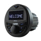 DS18 Marine Stereo w/AM/FM/BT- 1 Zone [MRX1] DS18