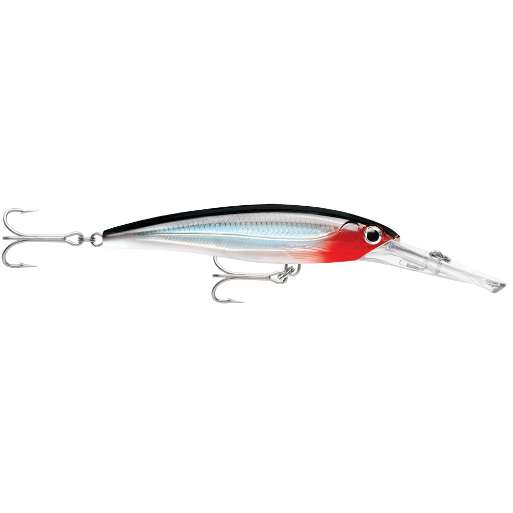 Rapala X-Rap Magnum 15 Silver [XRMAG15S] - BuoyMart.com  Hard & Soft Baits Rapala
