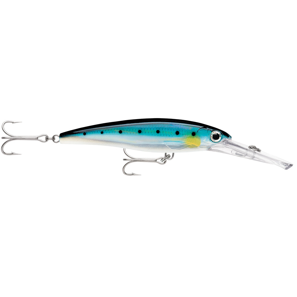 Rapala X-Rap Magnum 20 Sardine [XRMAG20BSRD] - BuoyMart.com  Hard & Soft Baits Rapala