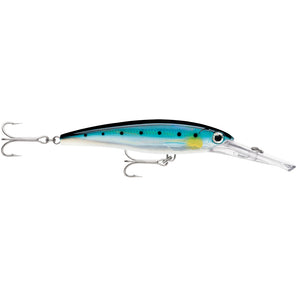Rapala X-Rap Magnum 20 Sardine [XRMAG20BSRD] - BuoyMart.com  Hard & Soft Baits Rapala