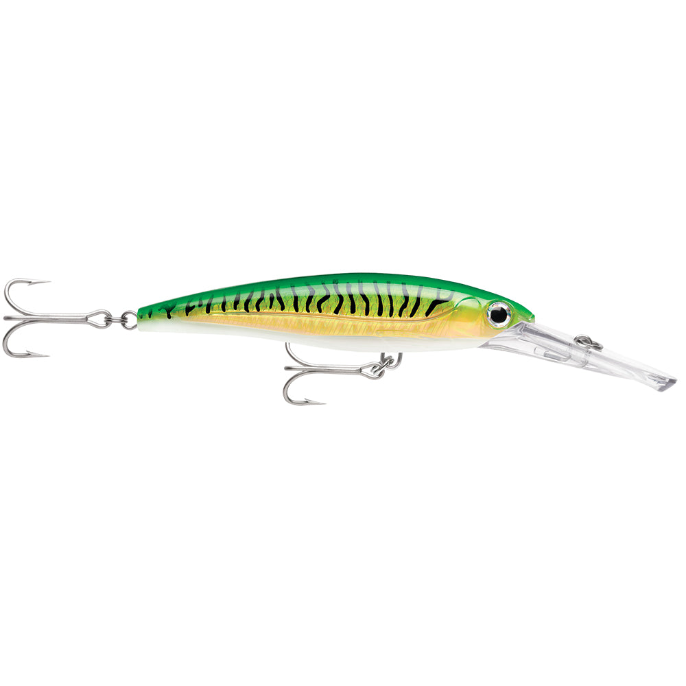 Rapala X-Rap Magnum 20 Gold Green Mackerel [XRMAG20GGM] - BuoyMart.com  Hard & Soft Baits Rapala