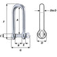 Wichard Captive Pin Long D Shackle - Diameter 6mm - 1/4" [01413] - BuoyMart.com  Shackles/Rings/Pins Wichard Marine