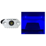 Black Oak Rock Accent Light - Blue LEDs - White Housing [MAL-B] - BuoyMart.com  Interior / Courtesy Light Black Oak LED