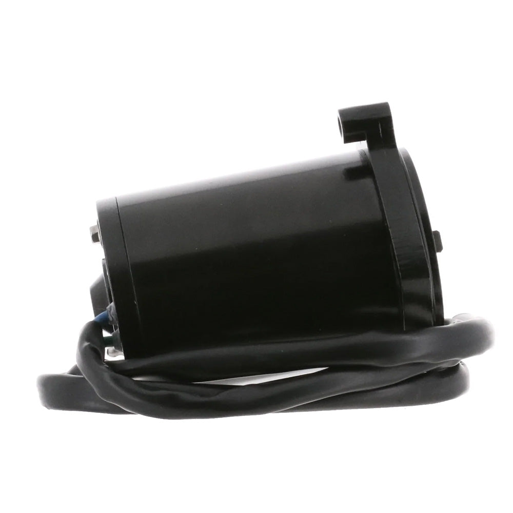 ARCO Marine Replacement Outboard Tilt Trim Motor - Late Model Mercury, 2-Wire [6250] - BuoyMart.com   ARCO Marine
