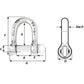 Wichard Not Self-Locking D Shackle - 14mm Diameter - 9/16" [01207] - BuoyMart.com  Shackles/Rings/Pins Wichard Marine