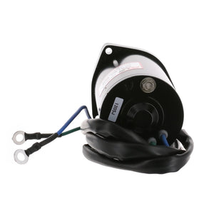 ARCO Marine Original Equipment Quality Replacement Tilt Trim Motor - 2 Wire  3-Bolt Mount [6259] - BuoyMart.com   ARCO Marine
