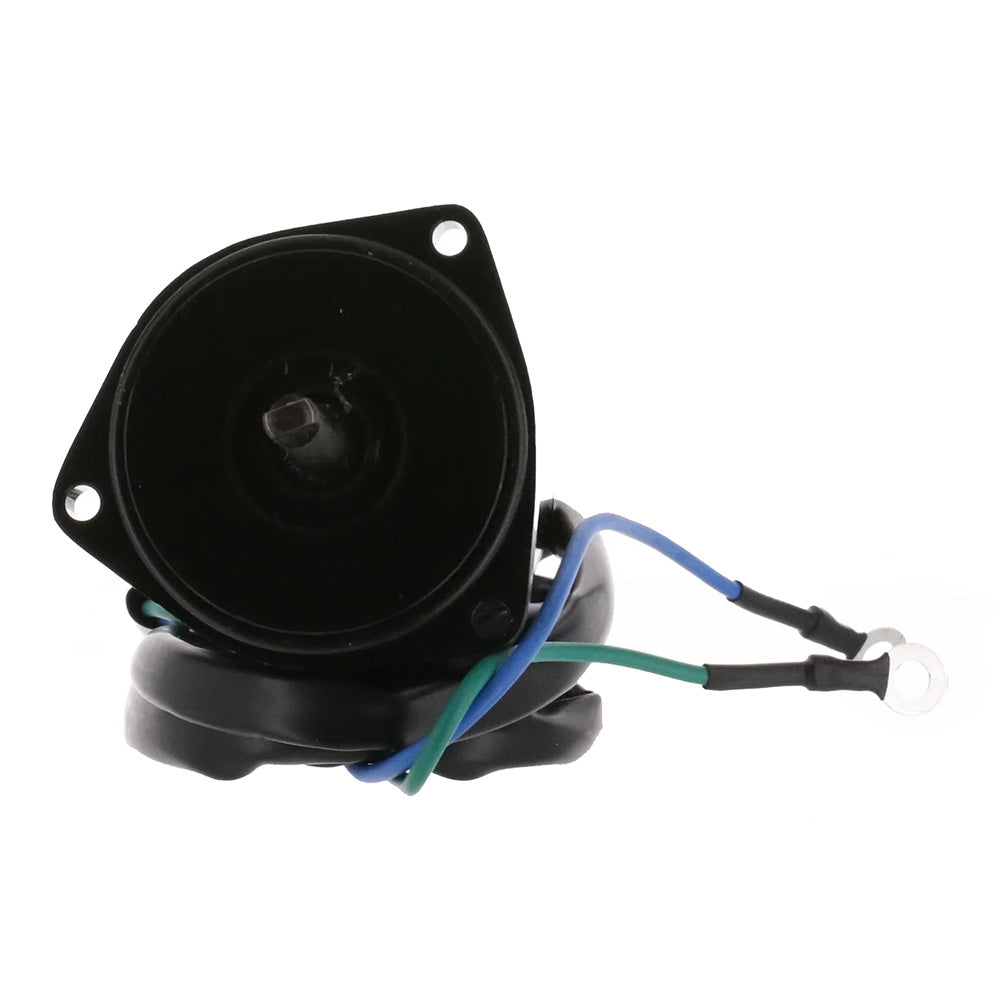 ARCO Marine Original Equipment Quality Replacement Tilt Trim Motor - 2 Wire  3-Bolt Mount [6259] - BuoyMart.com   ARCO Marine